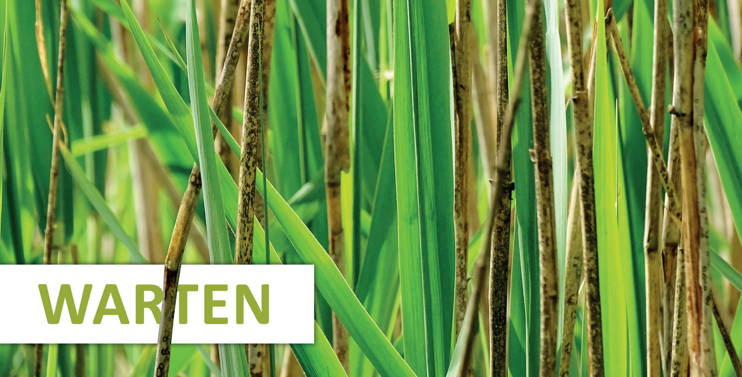 Postkarte: Warten