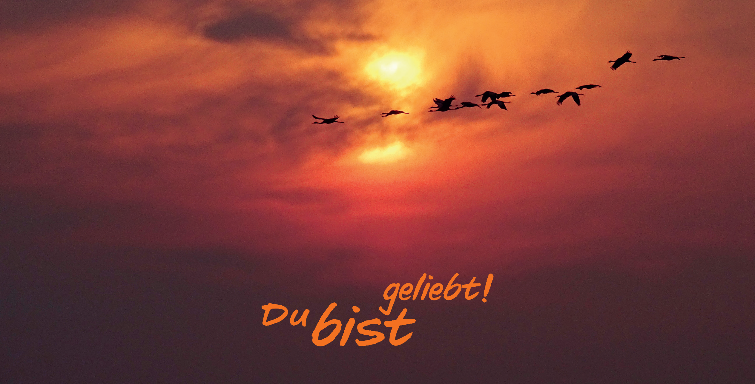 Postkarte: Geliebt