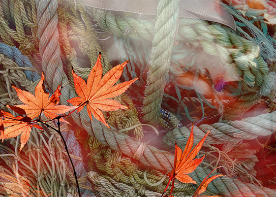 Poster: Herbsttöne