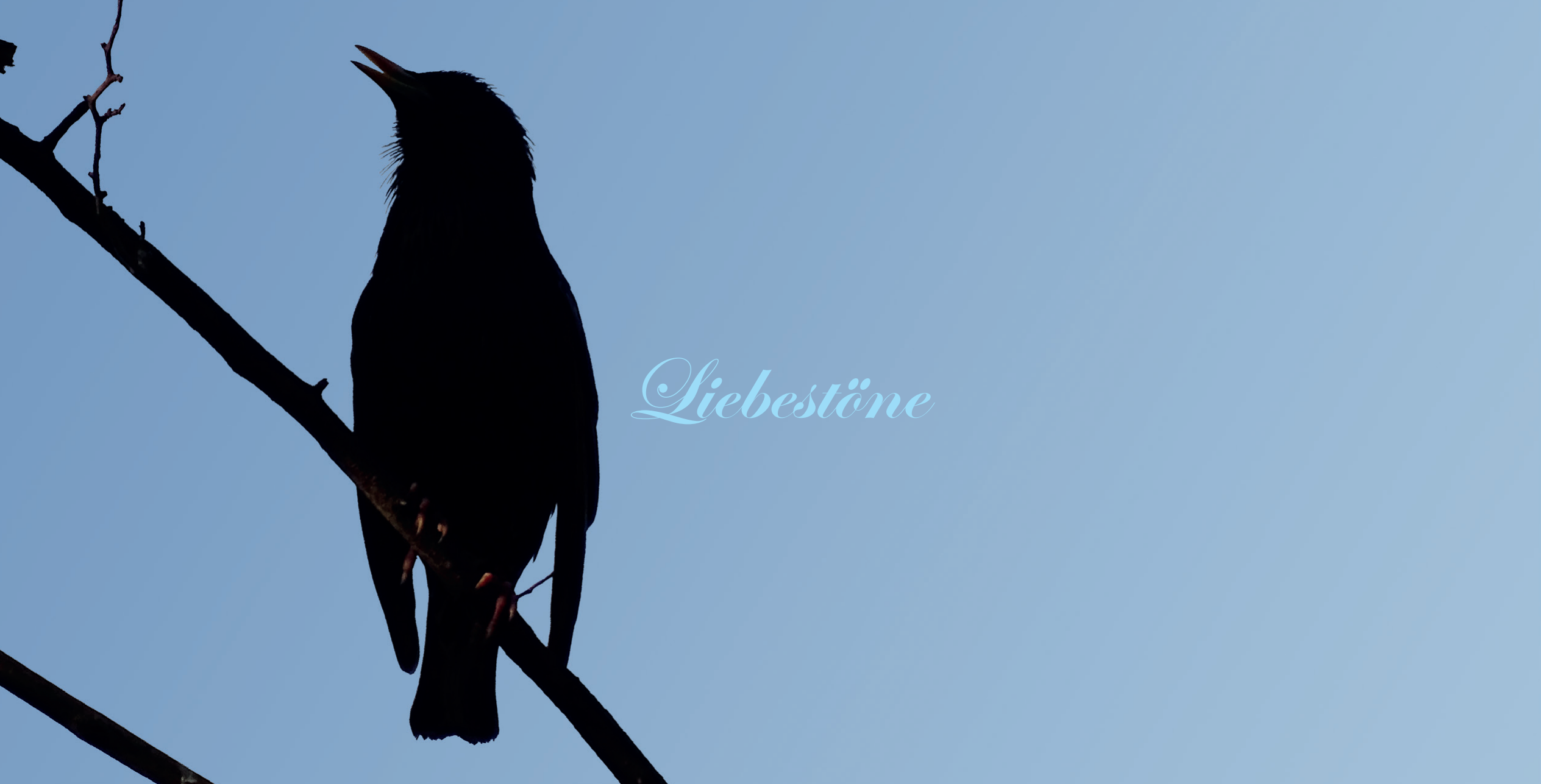 Postkarte: Liebestöne