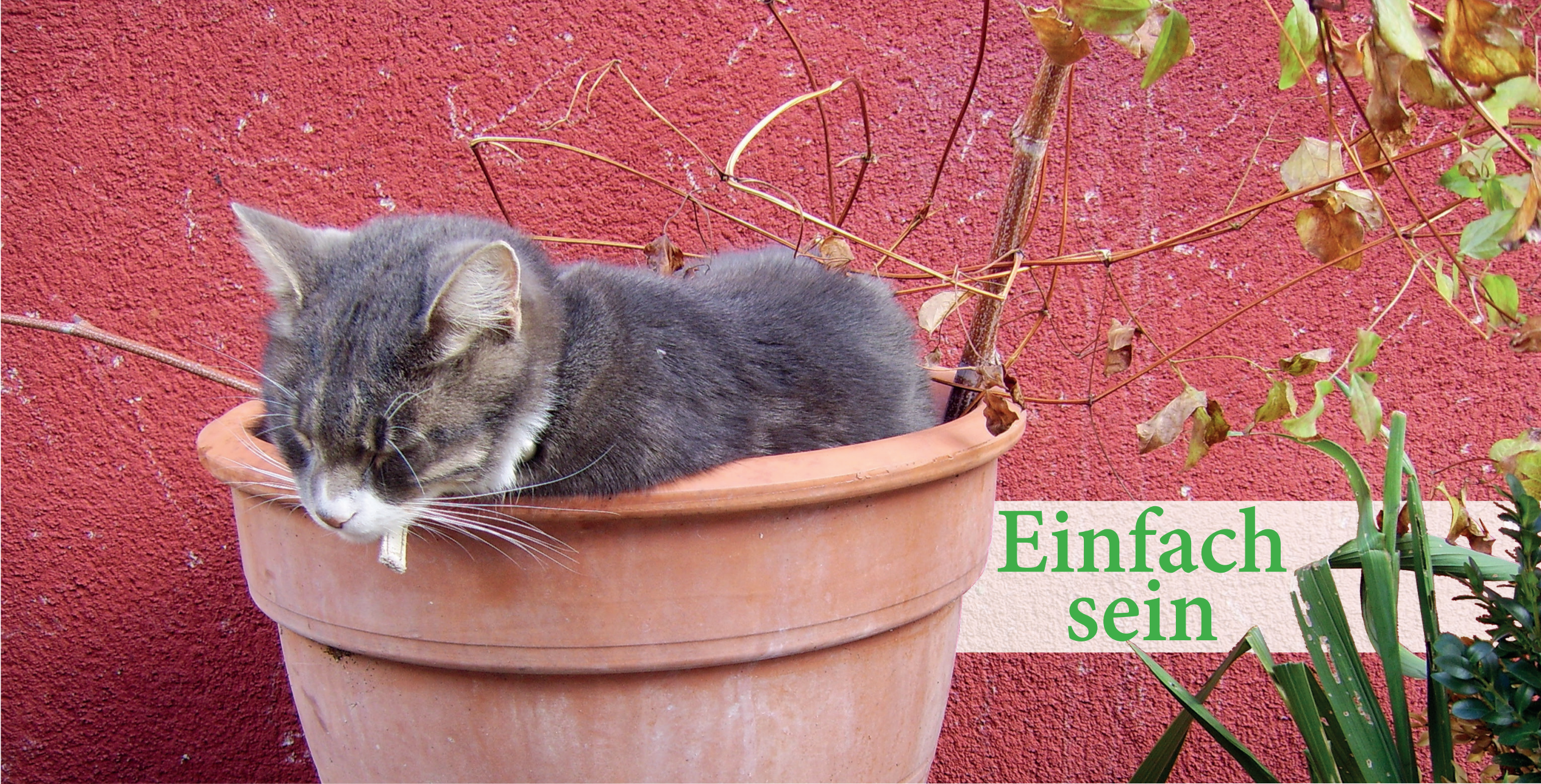 Postkarte: Einfach sein