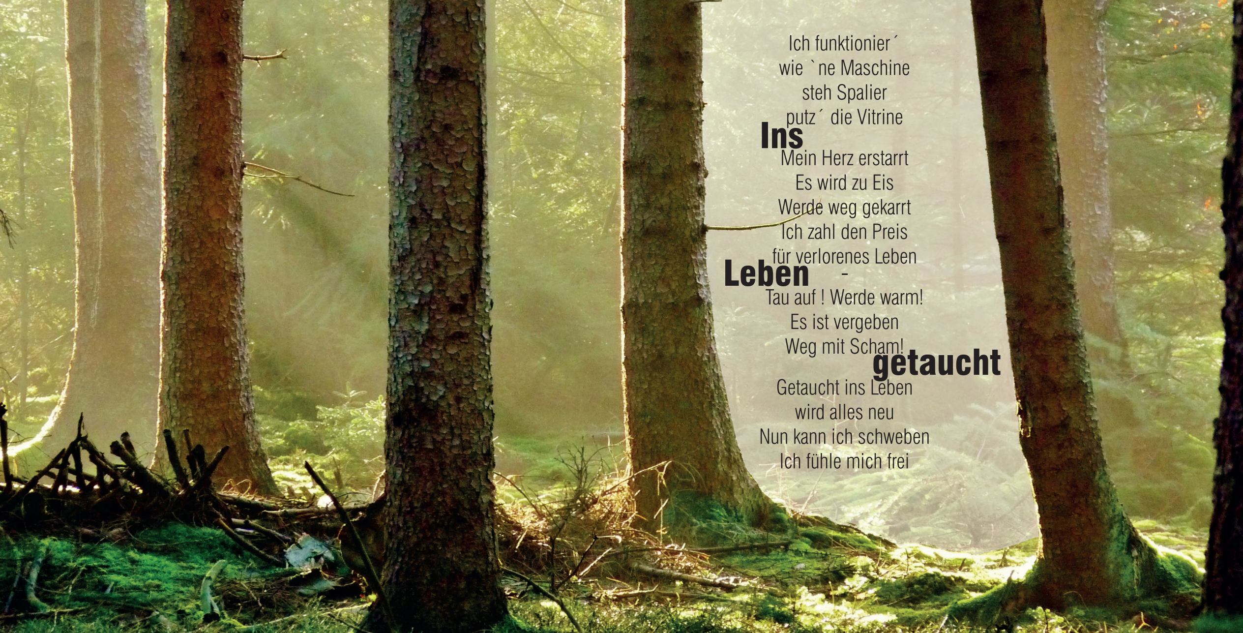 Postkarte: Ins Leben getaucht