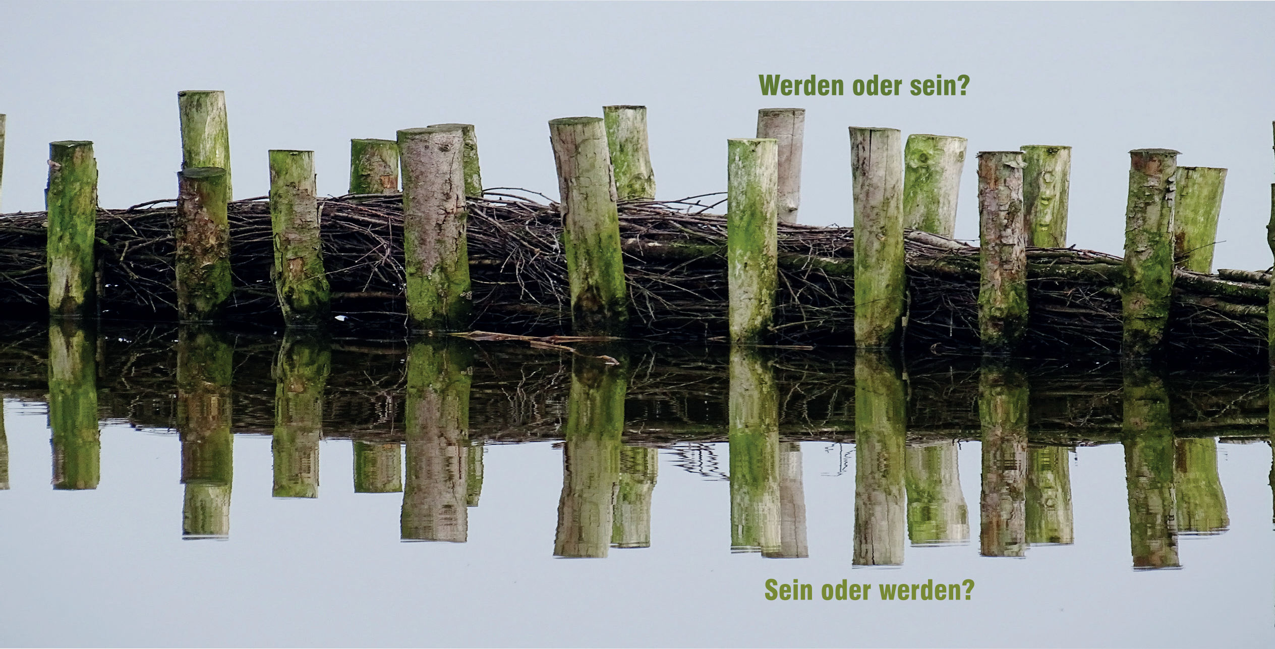 Postkarte: Wichtig werden